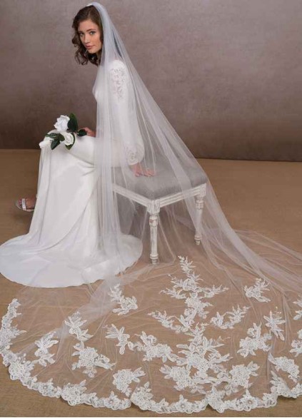 Dwolves Charity Veil Dwolves Charity Veil
