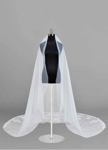 Dwolves Charity Veil Dwolves Charity Veil