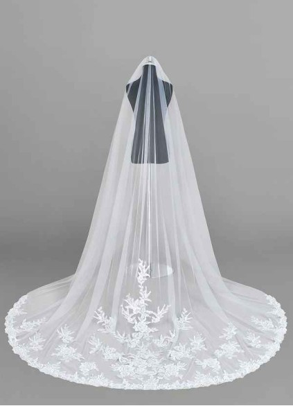 Dwolves Charity Veil Dwolves Charity Veil