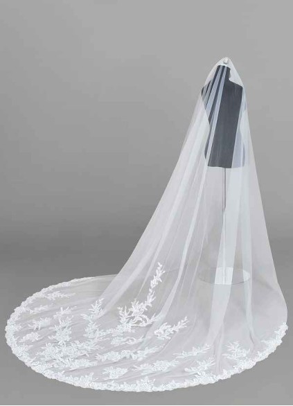 Dwolves Charity Veil Dwolves Charity Veil