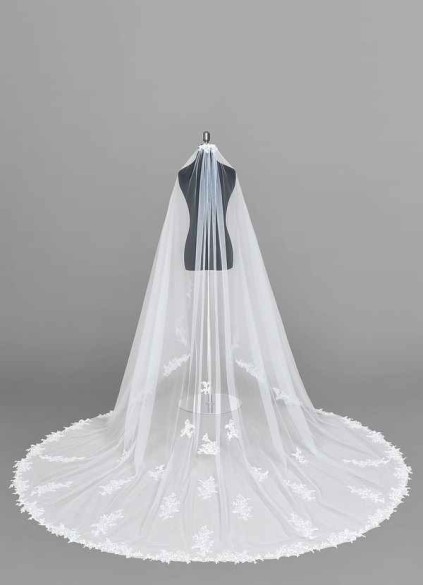 Dwolves Diamond Veil