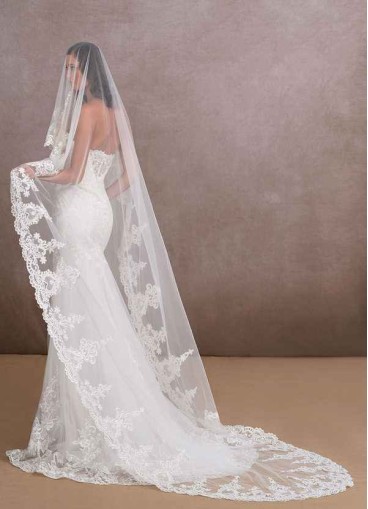 Dwolves Princess Veil