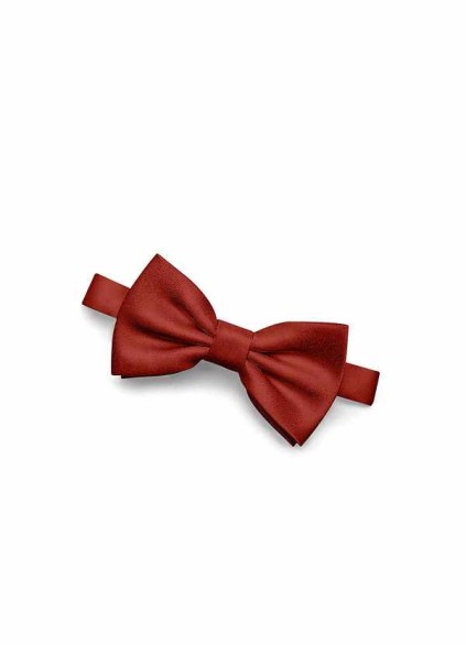 Gentlemen's Collection Boy's Matte Satin pre-tied bow tie Gentlemen's Collection Boy's Matte Satin pre-tied bow tie