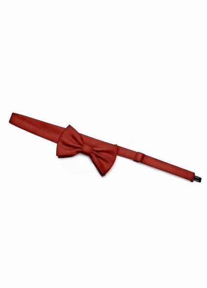 Gentlemen's Collection Boy's Matte Satin pre-tied bow tie Gentlemen's Collection Boy's Matte Satin pre-tied bow tie