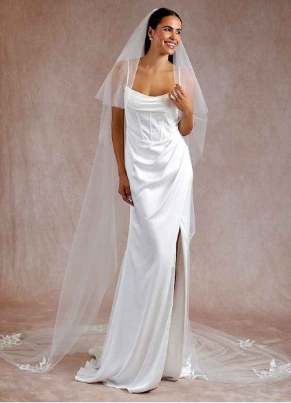 Swan Veil Swan Veil