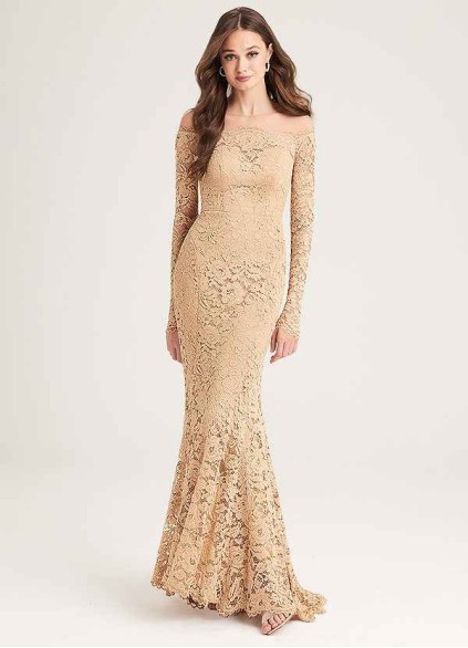PT101 1 Pnina Signature Lace Gown PT101 1 Pnina Signature Lace Gown